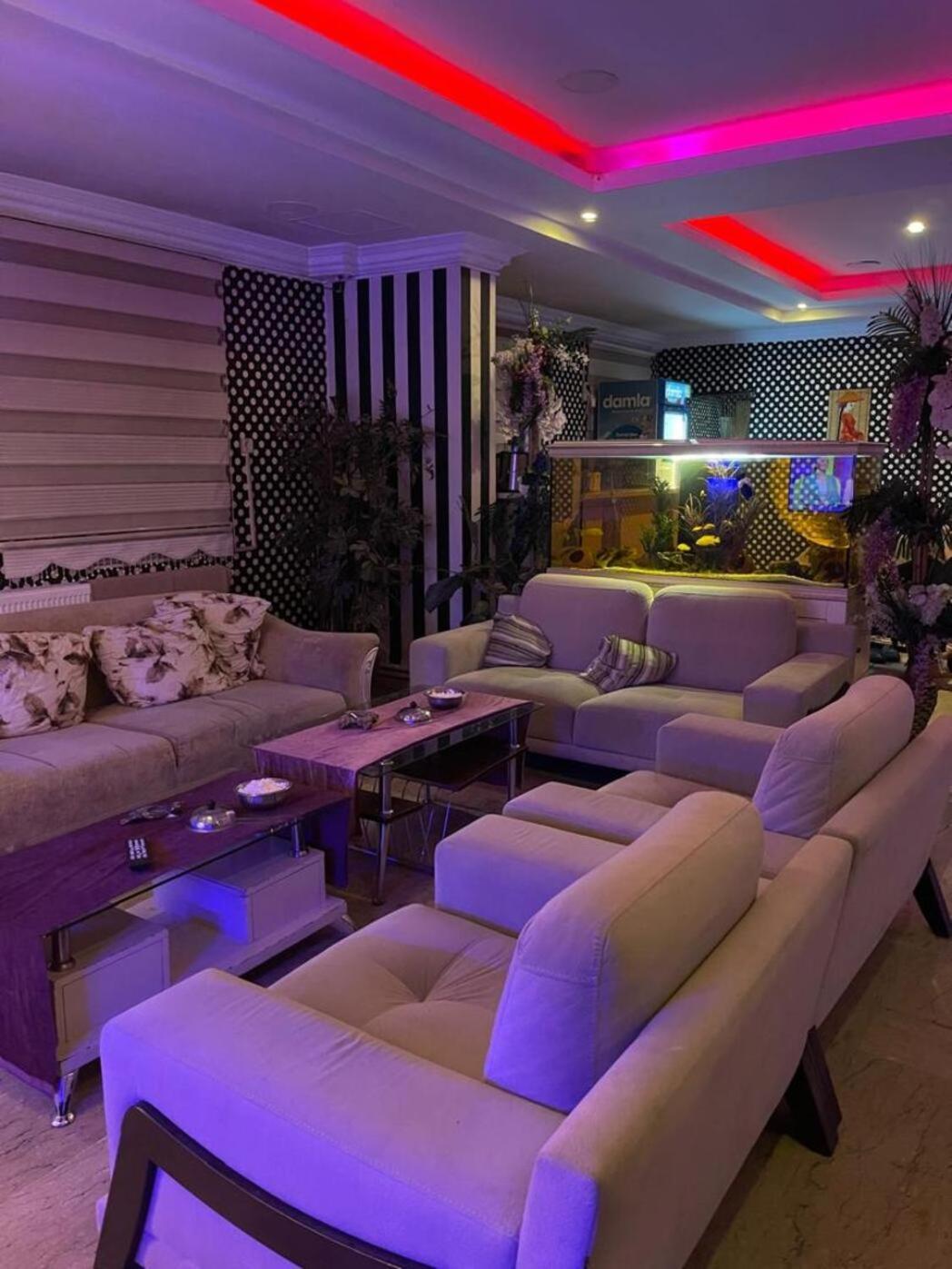 Dimet Park Hotel Van Extérieur photo